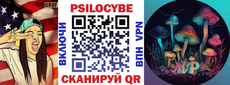 Купить закладки  Чайковский  Псилоцибиновые грибы мухоморы 